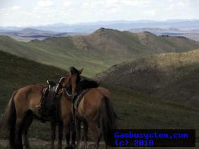 モンゴル　乗馬満喫の旅